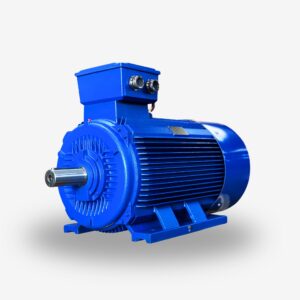 INDUCTION MOTOR มอเตอร์ไฟฟ้า