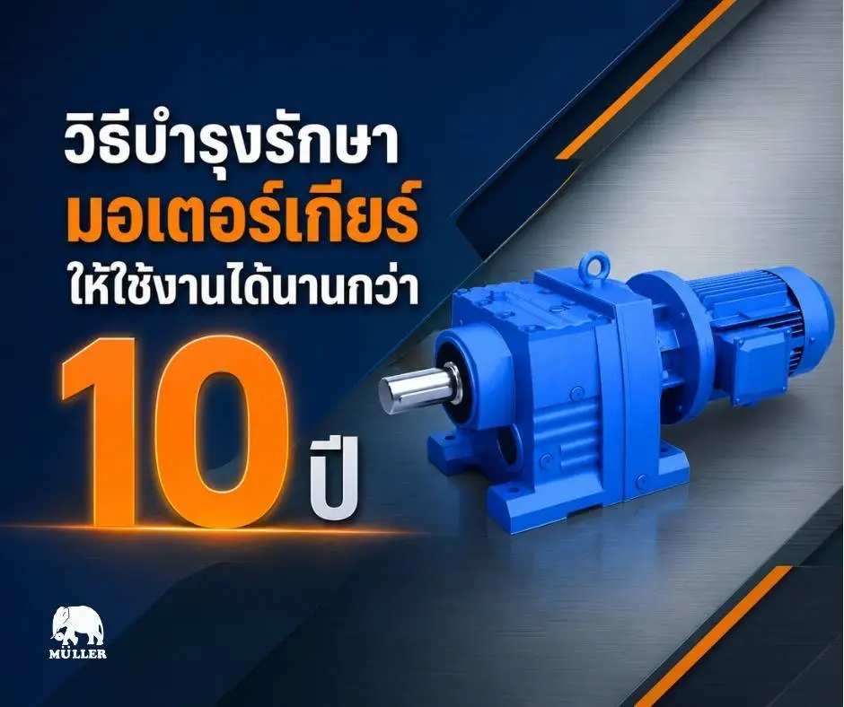 วิธีการบำรุงรักษามอเตอร์เกียร์ งานบริการหลังการขาย มอเตอร์ มอเตอร์เกียร์