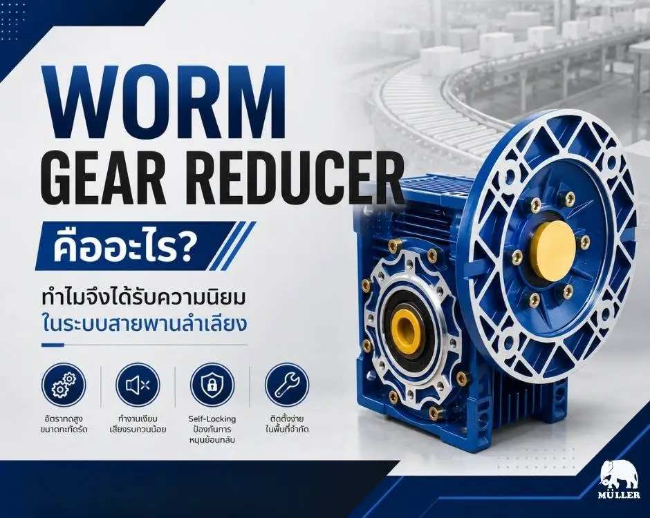 Worm Gear Reducer คืออะไร? ทำไมจึงได้รับความนิยมในระบบสายพานลำเลียง มอเตอร์เกียร์ มอเตอร์ประหยัดไฟมุลเลอร์ IE3