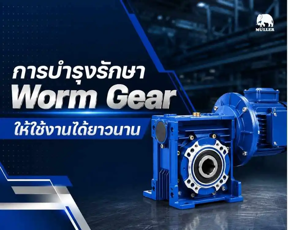 การบำรุงรักษา-Worm-Gear มอเตอร์ไฟฟ้า มอเตอร์ประหยัดไฟ