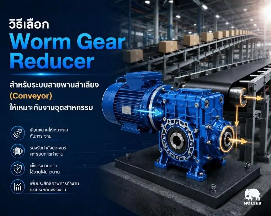 “วิธีเลือก Worm Gear Reducer สำหรับระบบสายพานลำเลียง (Conveyor) ให้เหมาะกับงานอุตสาหกรรม”