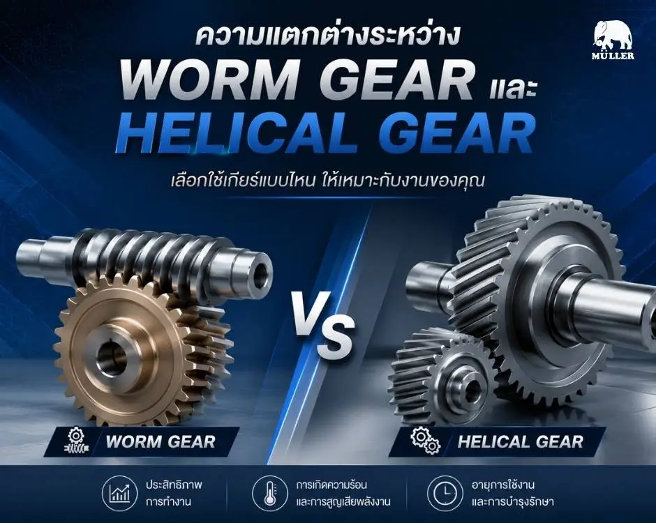 ชุดเฟืองภายใน Worm Gear, เปรียบเทียบ Worm Gear และ Helical Gear มอเตอร์ประหยัดไฟ เกียร์