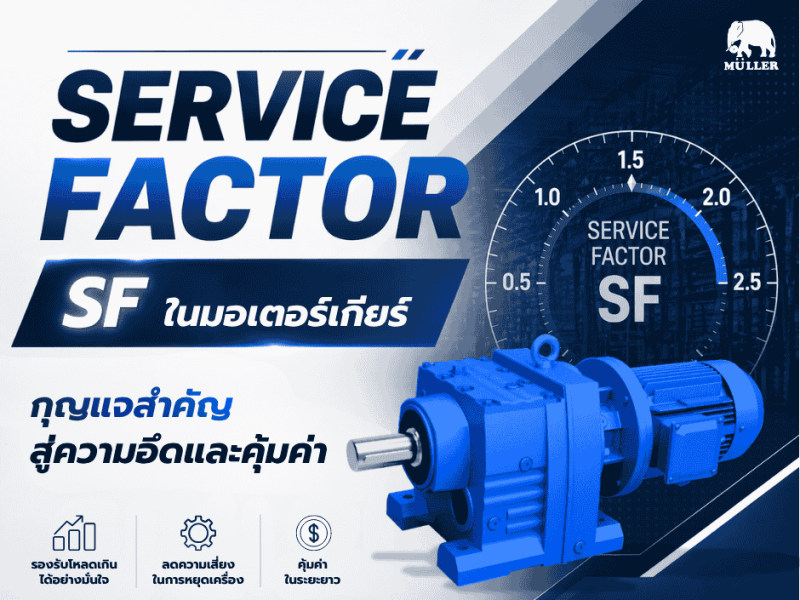Service Factor