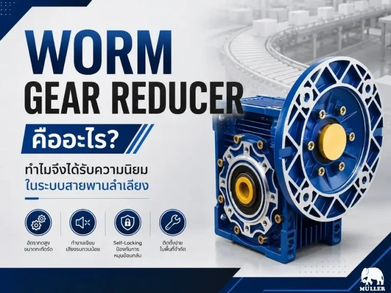 Worm Gear Reducer คืออะไร? ทำไมจึงได้รับความนิยมในระบบสายพานลำเลียง มอเตอร์เกียร์ มอเตอร์ประหยัดไฟมุลเลอร์ IE3