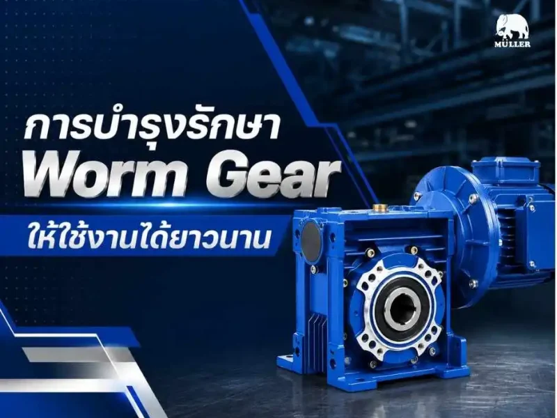 การบำรุงรักษา-Worm-Gear มอเตอร์ไฟฟ้า มอเตอร์ประหยัดไฟ