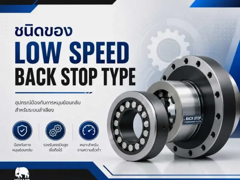 ชนิดของ-Low-Speed-Back-Stop-Type มอเตอร์ไฟฟ้า มอเตอร์ประหยัดพลังงาน
