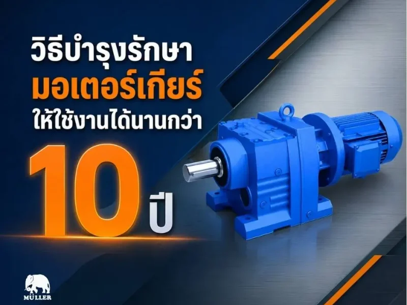 วิธีการบำรุงรักษามอเตอร์เกียร์ งานบริการหลังการขาย มอเตอร์ มอเตอร์เกียร์