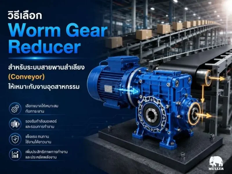 “วิธีเลือก Worm Gear Reducer สำหรับระบบสายพานลำเลียง (Conveyor) ให้เหมาะกับงานอุตสาหกรรม”