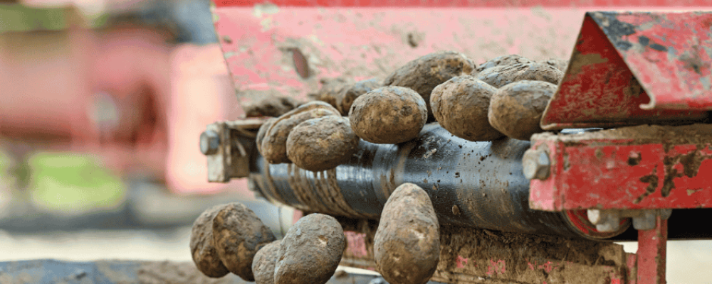 สายพานหิน