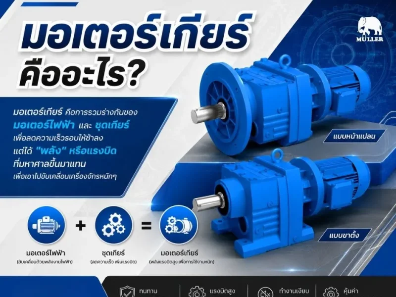 หน้าปก motorgear