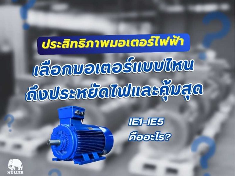 หน้าปกในเว็บ 2 (2)