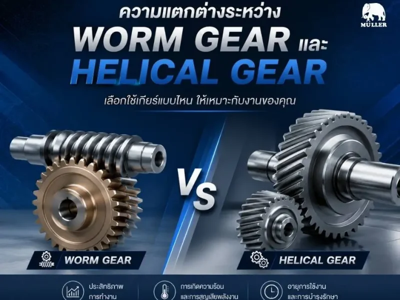 ชุดเฟืองภายใน Worm Gear, เปรียบเทียบ Worm Gear และ Helical Gear มอเตอร์ประหยัดไฟ เกียร์